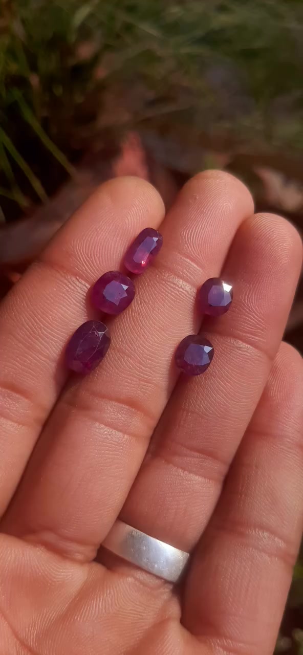 Origin kashmer curndam sapphire 9 crt puls lot


**إذا كنت صاحب هذا الإعلان وتريد حذفه لأي سبب، رجاءا أرسل رسالة إلى الدعم الفني**