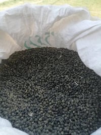 بذور باميا • الصويره • ٣٠كيلو