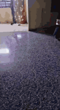 بيت زراعي مساحه 200 متر على الشارع مباشر طريق سوگ الشيوخ القديم قرب مدرسه الكرفانات
بناء طابوك كونريت بناء حديث يحتوي على غرف نوم عدد 2 وصاله ومطبخ وستقبال وصحيات داخليه وخارجيه وگراج

#العنوان نزلة مول الكوخ قرب مدرسه نبي الرحمة الكرفانات سابقا على الشارع مباشر طريق سوگ الشيوخ القديم

#السعر 130 مليون وبي مجال لشراي وبخدمتكم

للاستفسار الاتصال على الرقم *********** واتساب أو مراسلت الصفحه لمشاهدت كافت العروض ادخل على رابط ونضم للقناة

#مكتب #عيون #الناصريه #للعقار

#عنوانه #طريق #ياحسين #قرب #مول #الكوخ

https://chat.whatsapp.com/Eda0EuWKyLPAxFccCvdJMP
