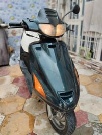 فراشة • شغال • جديدة