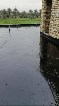 كربلاء المقدسه • حي العباس • خدمات