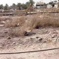 خلف المنتجع • ١٥٠م • واجهة ٧.٢٠م