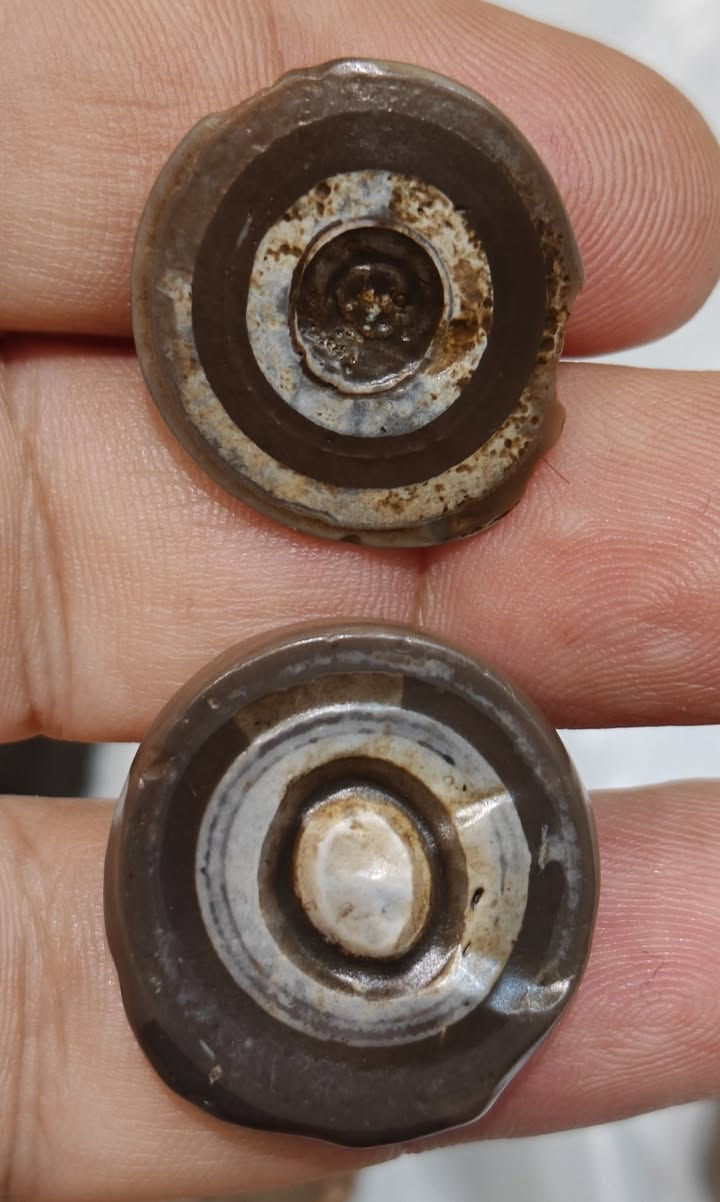 أحجار لكطهن من صحراء الرمادي 
نوادر أرض العراق ملاكط الرمادي 
القطع نوادر جدا 
قطع مميزات وجميلات وطاقه روحانيه واحد على واحد للبيع بالجمله السعر مناسب للي يريدون يستفادون 
يوجد توصيل لكل المحافظات سعرهن مناسب 
واحجار لكطهن من صحراء الرمادي
***********
