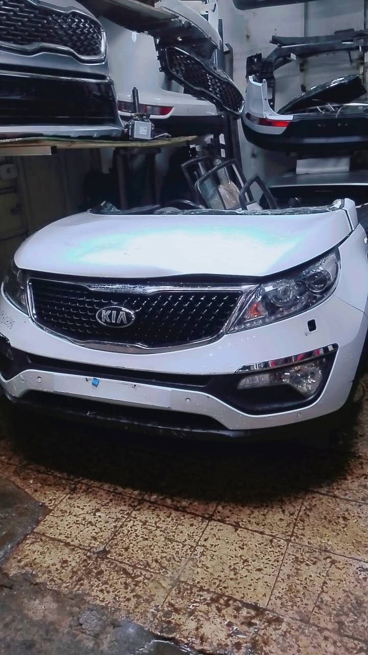 السلام عليكم 
يتوفر ادوات سبورتج كل الموديلات خليجي وامريكي 
العنوان سوق بغداد القصر الابيض 
استفسار 📞 ***********
