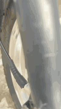 بغداد التاجي • ماكس عدله • بدون ذيل