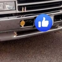 لبيع دعاميه فوزه اصيله  ٠٧٨٢٦٥٦٤٤٦٢