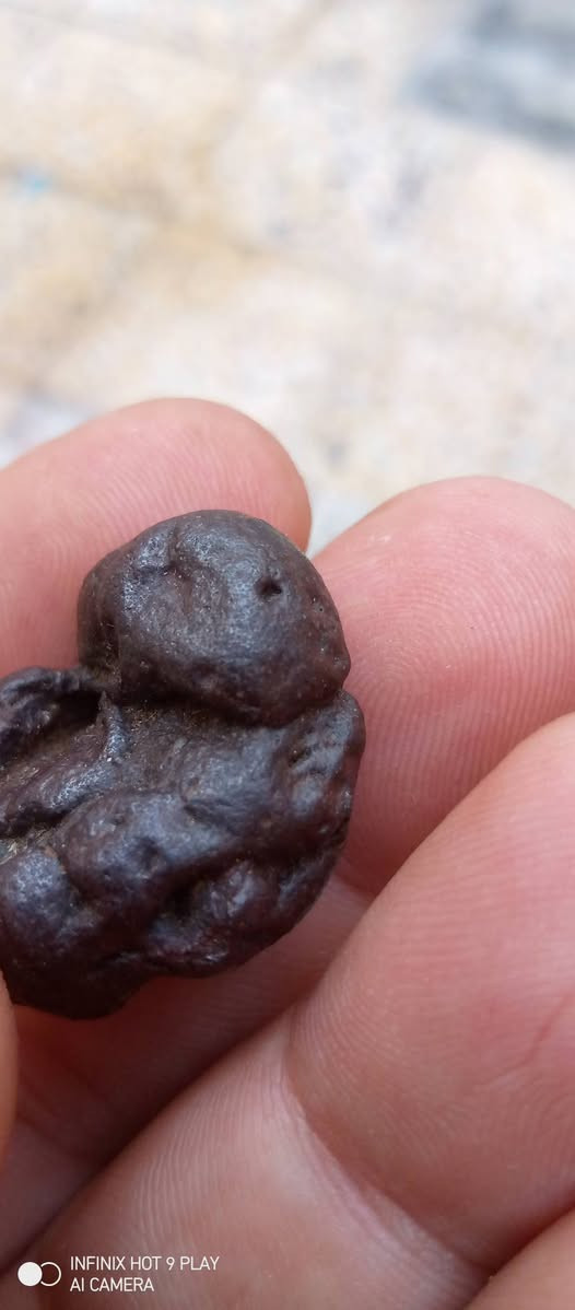 حجر هبهاب قديم


**إذا كنت صاحب هذا الإعلان وتريد حذفه لأي سبب، رجاءا أرسل رسالة إلى الدعم الفني**