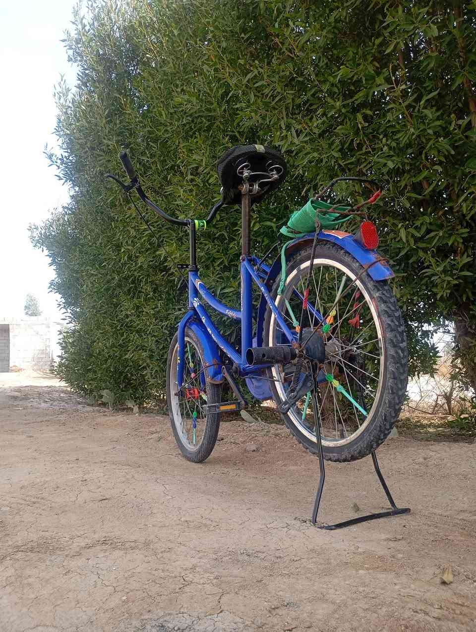 سلام عليكم باسكل للبيع. باسكل جاهز من كلشي غراض كلهن جدد مكان بين شطره والغراف سعر خاص


**إذا كنت صاحب هذا الإعلان وتريد حذفه لأي سبب، رجاءا أرسل رسالة إلى الدعم الفني**