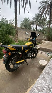 بوكسر 2022 • أوراق موجودة • بعقوبة تقاطع القدس