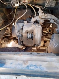 بياجو • اوراق كامله • تنومه شط العرب