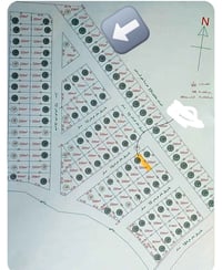 الزيتون • ٢٢٠م • هيكل للبيع