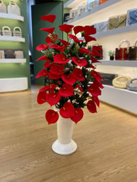زرع اصطناعي جديد لتواصل ☎️  07840120220 لون احمر ١٧ الف / ارتفاع ١ متر...