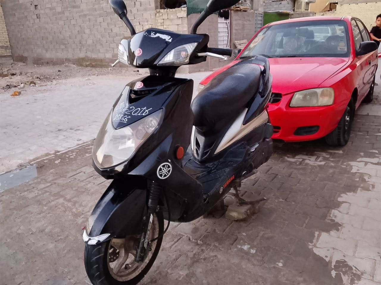 سلام عليكم سكنس فحل كامله مكمله نوزل مكان بغداد الشعله  ***********
