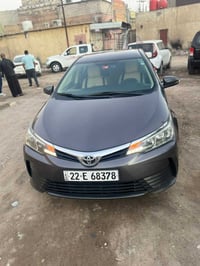 كورلا خليجية • ٢٠١٩ • رقم اربيل