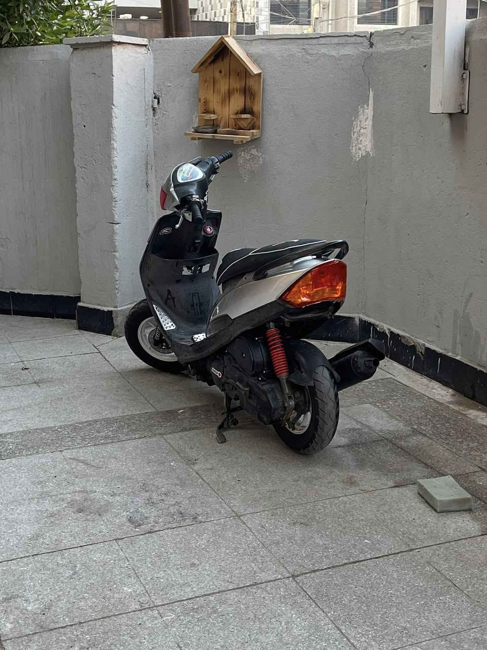 سلام عليكم ماكس عدله 49 بلاد شلعه ومعدل تاكل الكاع للتواصل واتساب *********** مكاني بغداد حي جامعه اصحاب نفوس ضعيفه لاتطبون
