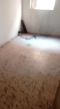 شقه طابق ثالث غرفه صغيره وهول صغير العنوان الحرية الاولى شارع مختار عم...