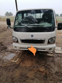 ام عيون 2002 • رقم بابل • مكفوله عام