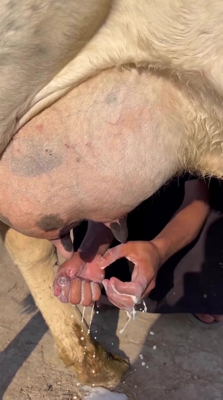 ***********بي واتساب 
المكان السماوه الرميثه التفاصيل داخل الفديو
