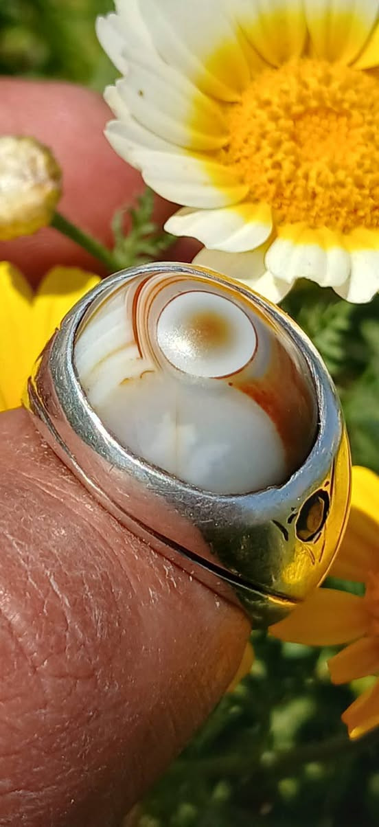 سليماني قديم .. صياغة قديمة تطعيم الصفاح زمرد


**إذا كنت صاحب هذا الإعلان وتريد حذفه لأي سبب، رجاءا أرسل رسالة إلى الدعم الفني**