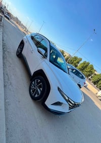 توسان • ٢٠٢٤ • بابل حله