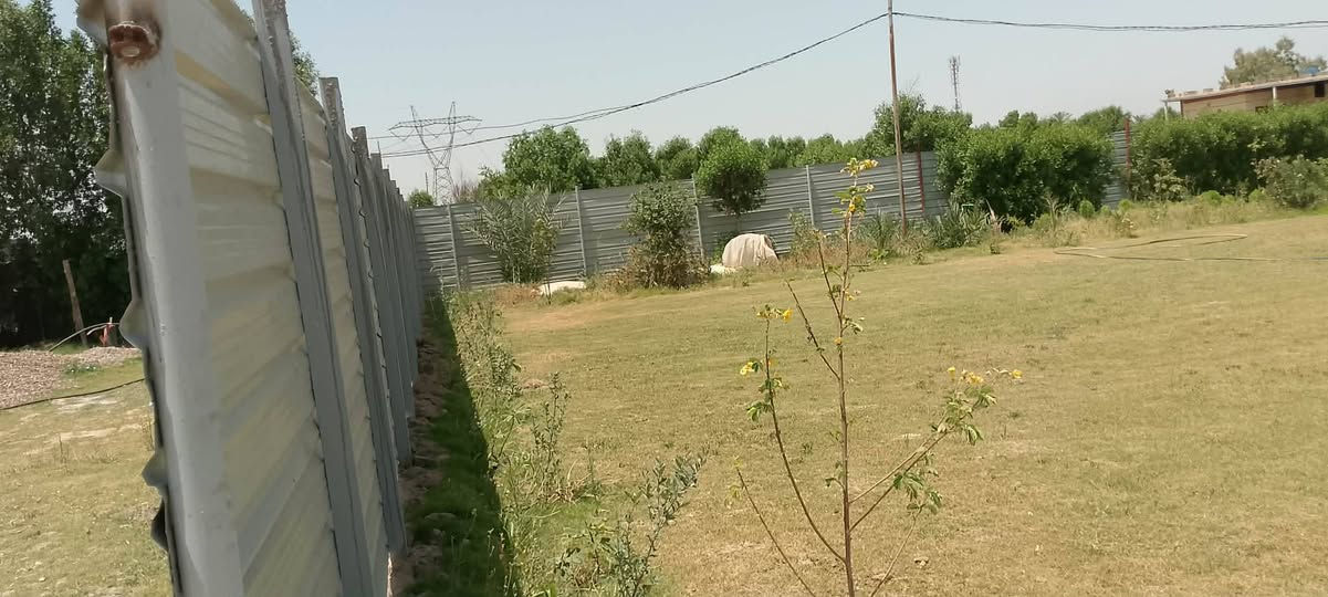 سلام عليكم دونم باسمي تحويل مباشر طابو المحموديه سند 25  موقع ناحيه الرشيد صخريجه متوفر ماء وكهرباء جاهز حديقه  بي منزل مساحه 200متر بناء حديث السعر 160 وبي مجال رقمي***********
