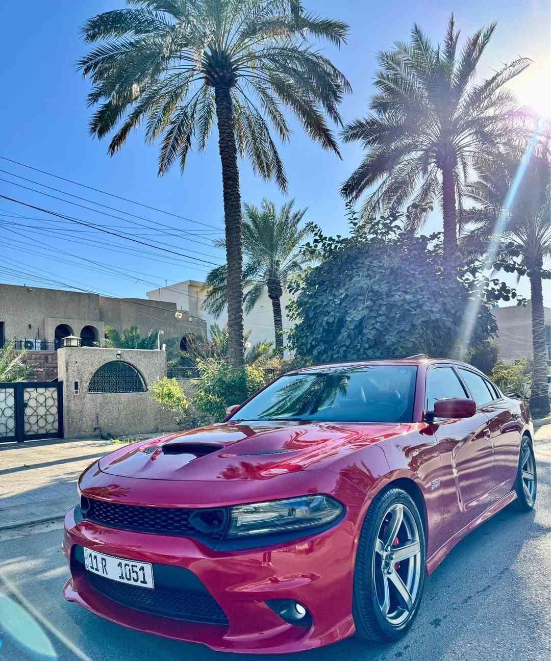 السلام عليكم للبيع او مراوس 
دوج جارجر 2016 وارد امريكي حادث سرقة بدون ضربة او ايرباك 
رقم بغداد شبه مميز باسمي 
هزة وسنوية وارقام كلة جديد 
مزودة وفول مواصفات 
التزويد الي عليها 
المحرك ستروكر من شركة مينلي 7000cc
كام وسبرنكات وشياش وبطاله ستيج 3 
ثلاجة هولي سنايبر ستيج 4 
براغي المحرك كلها arb 
هدرز امريكان ريسنك ويه الداون بايب
كزوز قفايص 3 ونص انج امريكان ريسنك 
شوته afe 
كيجات بوست وafr 
ميثانول انجكشن 
السياره تريدها بوست او na 
ماشية حاليا 25 الف 
مواصفات السيارة 
فتحة سقف 
مقاعد كهرباء وتدفئة وتبريد 
انارة كلها زنون LED 
وبيها مواصفات هواية السيارة جديدة ومميزة جدا 
مكاني بغداد السيدية 
*********** بغداد, العراق
