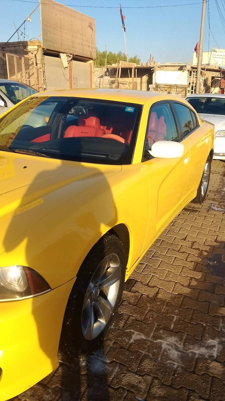 جارجر 14 اصل شاشه جبيره كير عصا مكينه كير اكسل عربانه حداديه جديد تبريد ثلج حادث العتبه الجوه صوب الايمن وشبرين جاملغ الخلفي آثر تاير طك بدون دواخل تخم تاير ويل 18 مصفره هيه ومرور رقم بابل انكليزي السعر 145وبيه مجال مكان النجف انتصل على الرقم ***********
