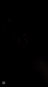 ماكس لعب بوشه 55 تزويد سعر 500 بها مجال ***********
