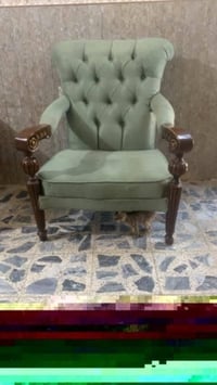 تخم قنفات • طخم قنفات • قنفات زان • قنفات مصرية • تخم سبع مقاعد • قنفا...