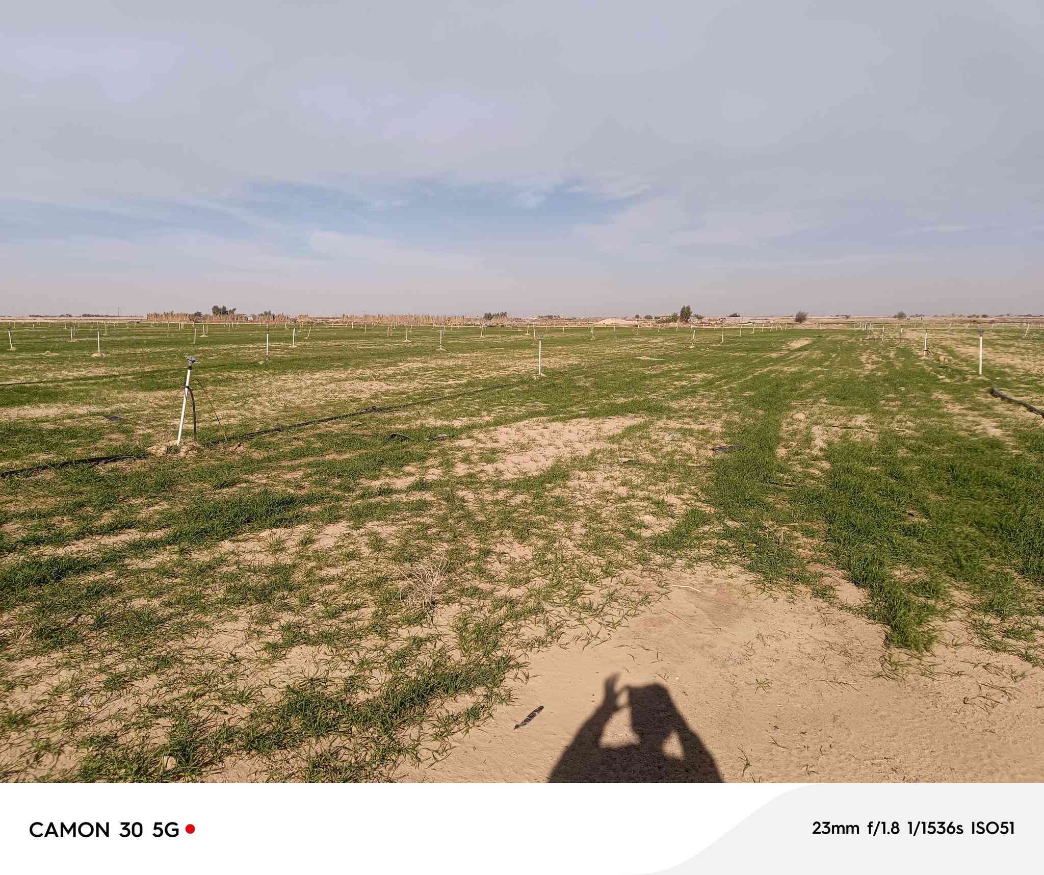 مزرعه للبيع مساحه 50دونم يوجد 600 شيش حديد وكهرباء واصله ومحرك السعر خاص هاتف***********8
***********
