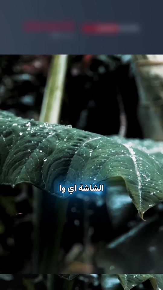 ⁨	شاشة اي وا حجم 43  بقسط شهري ( 18،000) 🔥 العنوان / بغداد - جميلة - شارع خير الله- قرب اسواق النخلة للاستفسار  ***********  #مجمع #اقساط⁩⁩⁩⁩⁩⁩⁩⁩⁩⁩⁩⁩
