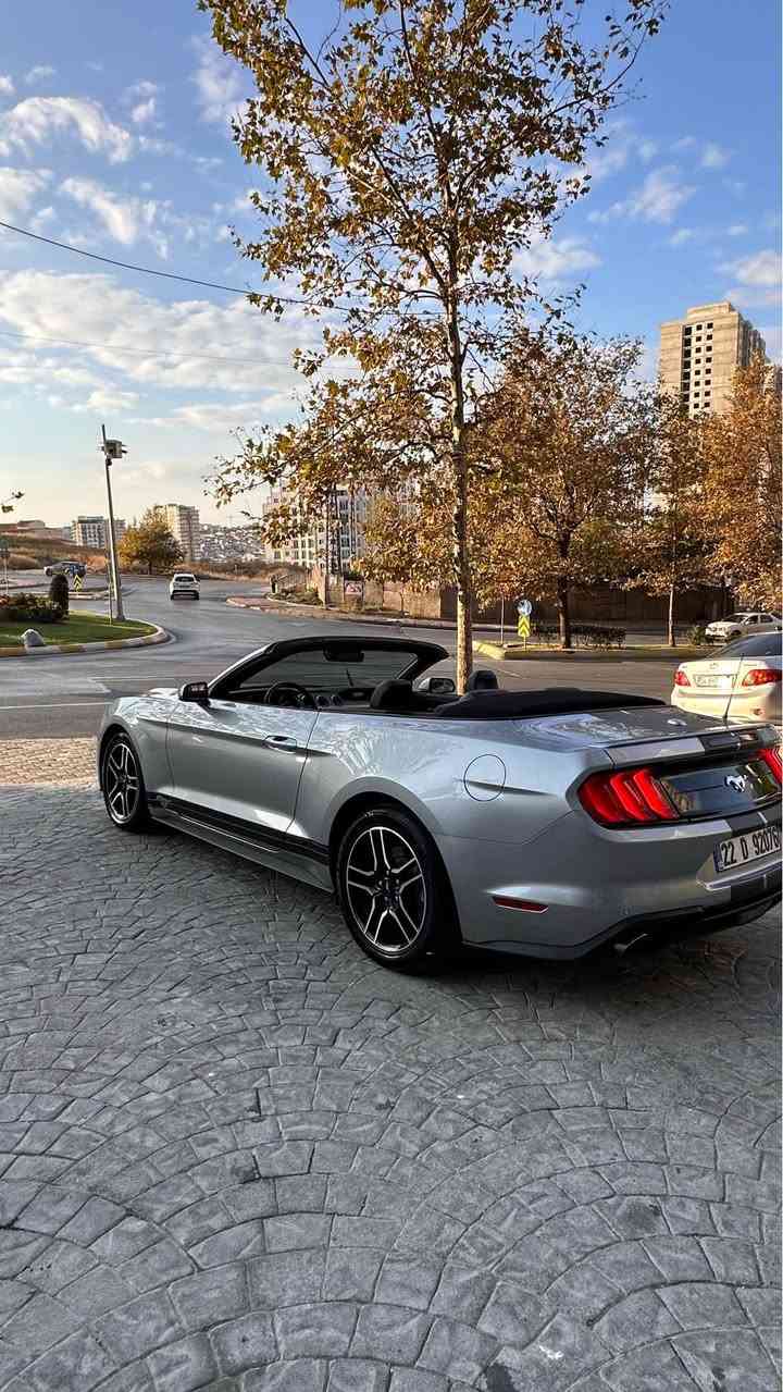 سلام عليكم

للبيع | Ford Mustang EcoBoost Premium 2022 🇺🇸

✨ قمة النظافة - إصدار البريميوم الأعلى مواصفات - وارد أمريكا

🔹 المواصفات الفنية والأداء:

• المحرك: 2300cc EcoBoost Turbo (قوة حصانية ممتازة مع توفير عالي للوقود).

• الجير: 10 سرعات أوتوماتيك.

• أنظمة القيادة: تعدد وضعيات القيادة (سبورت، تراك، ونورمال) لتناسب كل الأجواء.

• الممشى: 60000 ميل (استخدام نظيف خارج العراق).

🔹 الرفاهية والتكنولوجيا:

• المقصورة: كراسي جلد أحمر (كهرباء) مع تدفئة وتبريد.

• الترفيه: شاشة SYNC 3 الكبيرة، تدعم Apple CarPlay و Android Auto مع نظام صوتي محيطي.

• الجمالية: سقف أسود، إضاءة LED كاملة، رنكات 18 إنج أصلية، وجناح خلفي رياضي.

• المميزات الذكية: تشغيل عن بعد، دخول ذكي، إنارة ترحيبية بشعار الموستنج.

🔹 الحالة الميكانيكية والبدن:

• السيارة بحالة الوكالة من الناحية الميكانيكية والكهربائية (افحص وين ما تريد).

• البودي: صبغ باب سكن و شبر جارملغ خلفي بجم كبس بدون دواخل و شاصي.

• الحادث: حادث بسيط جداً في أمريكا (باب الراكب فقط) وبقية السيارة سليمة تماماً.

🔹 ملاحظة للمشتري:

السيارة تمثل التوازن المثالي بين الشكل الرياضي الجذاب والاقتصاد في المصاريف، جاهزة للقيادة ولا تحتاج "دينار واحد" مصروف

مكان السيارة في كركوك

سعر السياره 185 وبيها مجال

متوفر واتساب *********** كركوك, العراق
