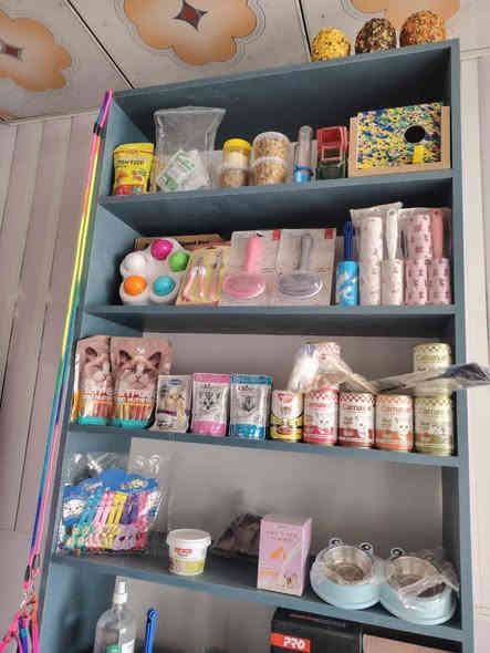 تم على بركة الله افتتاح عيادة الفا البيطرية
• فحص وتشخيص الأمراض
• علاج الحالات الطارئة
• التحصينات واللقاحات
• عمليات جراحية عامة
• عناية خاصة بالحيوانات المنزلية والماشية
• متابعة صحية مستمرة ونصائح بيطرية

📍 الموقع: قرية الحود /مفرق النزال / قرب اسواق ابو عمرو  
📞 الرقم ***********

د.محمد ابراهيم الرمان بكلوريوس طب وجراحة بيطرية جامعة الموصل

.
