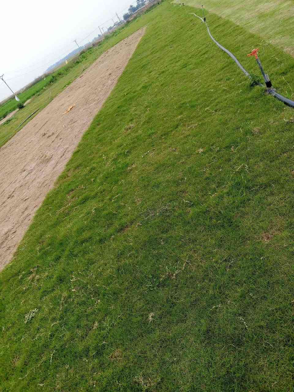 ***********
توصيل مجاني
ثيل ديالى الطبيعي ، 🍀☘️🍀☘️
متوفر كافة انواع الثيل 
الثيل امريكي🌿الثيل هندي🌿الثيل ايطالي 🌿ثيل فرنسي🌿
تجهيز...
مشاتل🌴👇
دوائر حكوميه🏦👇
منازل🏡👇
منتزهات🏄
موجود خدمة توصيل 🚕🚕 لكل محافظات العراق 
للطلب التواصل مع الصفحة 
.............................................
چيمه نی دیالی سروشتی،🍀🍀
هەمو جۆرێ چیمەن مان هیە
چمەنی امریکی🍀چيمه نى هندی🍀چیمەنی ایتالی🍀چیمەنی فەرنسی
..امادەین بۆ حازر کرنی هموو شوێن..
شتڵ گا🌴
دائيرەی حکومی⛪️
خانوو🏡
گە یاندن هيه بۆ هموو شوێن بعقوبة, ديالى
