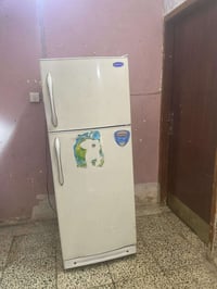 كونكورد ياباني • ٢٠ قدم • فريزر وتبريد