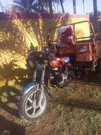 ستوته • موديل ١٩ • أوراق اصولي