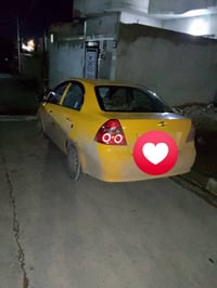 افيو • وارد كوري • ٢٠٠٩