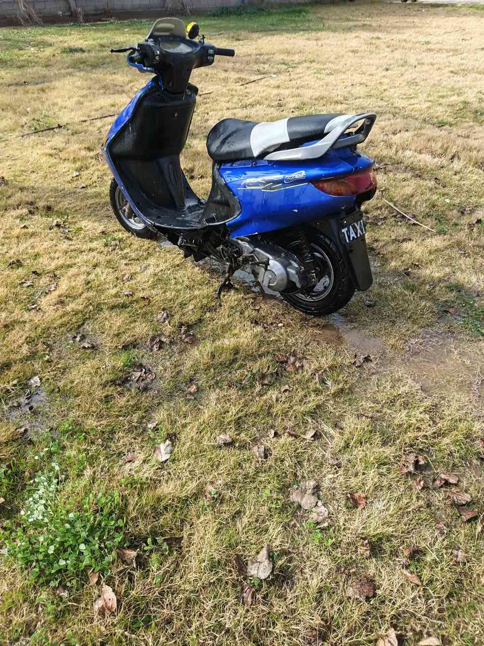 فراشه لبيع المكن بابل شملي السعر300 الف اوبيه مجل لطيبين ***********
