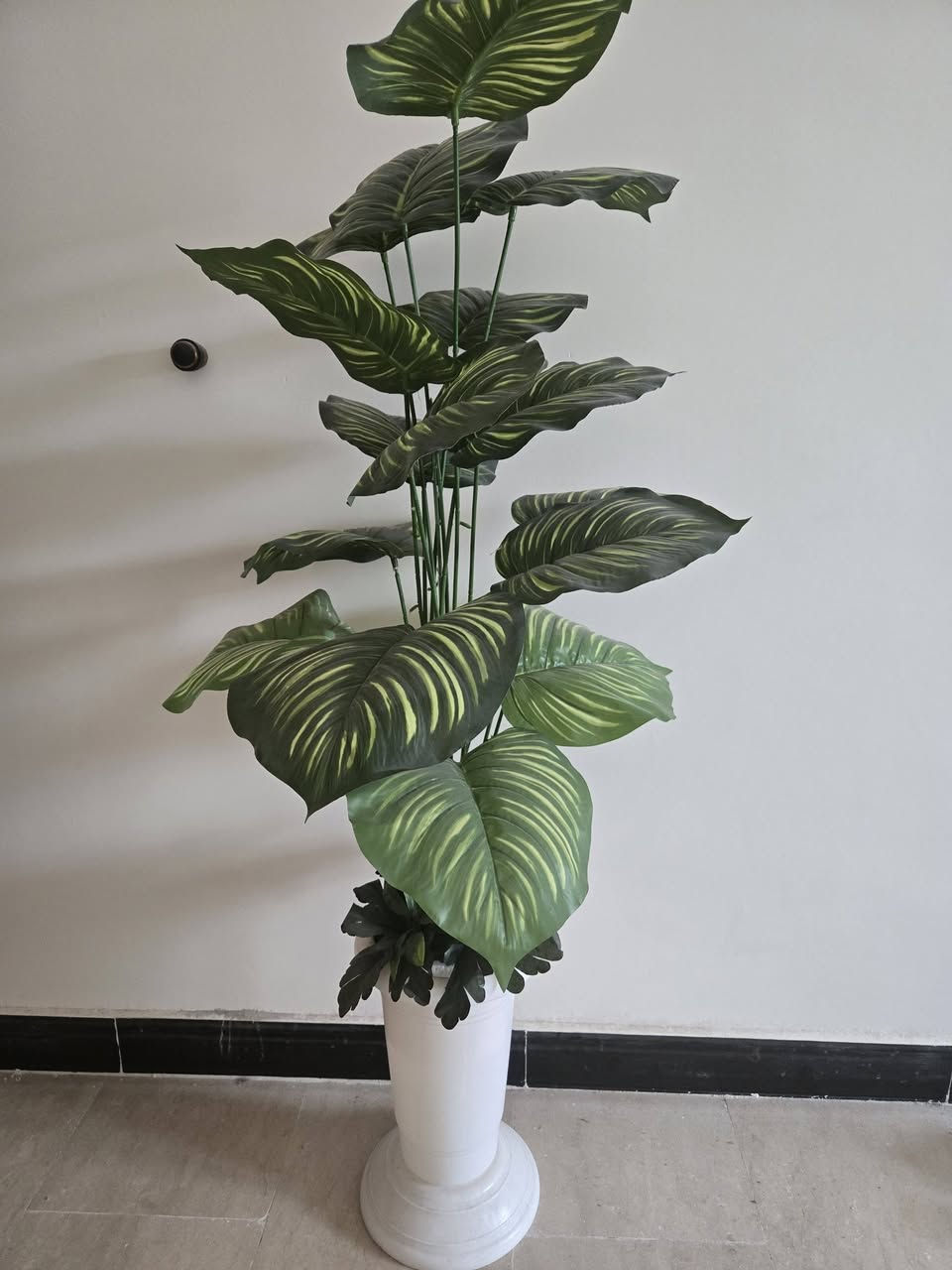 فازات بلاستك
كبيره
سعر الوحده ب8


**إذا كنت صاحب هذا الإعلان وتريد حذفه لأي سبب، رجاءا أرسل رسالة إلى الدعم الفني**