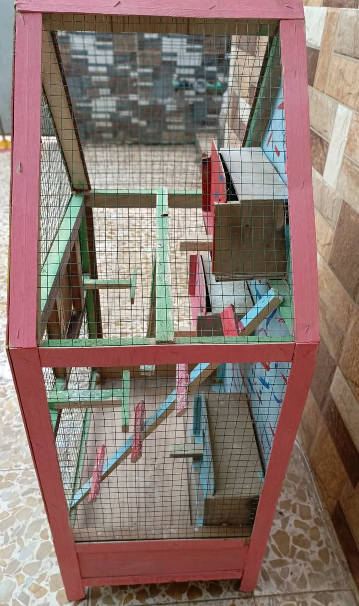 قفصين للبيع جديد ونظيف مامستخدم قليل مستخدم خشب مالتو جديد ومرتب مال طيور حب
المكان حي سومر 112
السعر 19بيهم مجال
تواصل خاص او *********** وتساب موجود
