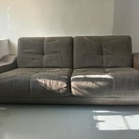 تخم ابو السرير • كنب • فيه مجال