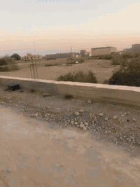 الناصرية • ارض زراعي • ١٥٠م