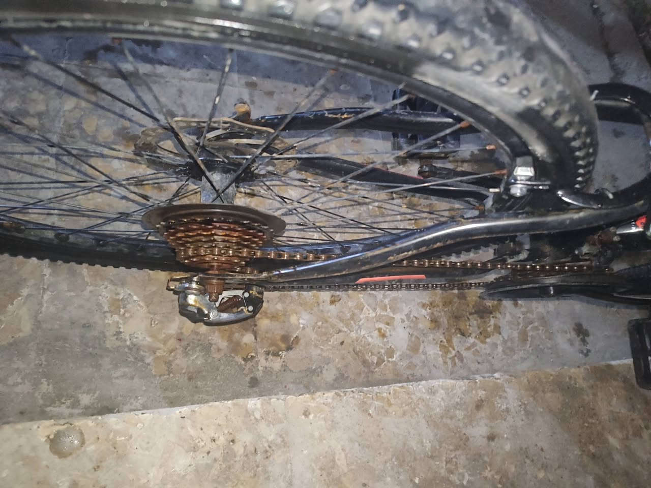 سلام عليكم
بايسكل نضيف  صيني للبيع 
السعر 50 🔒 هذا الرقم الي يريد يجي واتساب
***********
