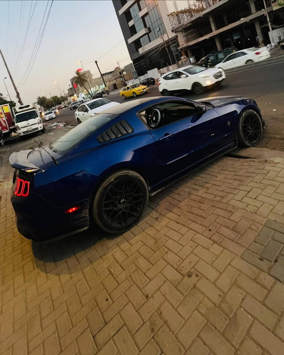 السلام عليكم
بيع او مراوس موستنك V6 موديل 2014

Ford Mustang 2014

رقم بغداد تحويل ثاني يوم

كير اوتو

كير و محرك كفالة السيارة ماشية 60 الف

تبريد ثلج

السيارة كاملة مناقصها شي

شباك امامي CS

لحية RTR

دفيوزر دعامية خلفي

سكوبات خلفية

دبات فلوماستر

ويلها بلادي SVT

السيارة شلعة ومعدل تخبل

السيارة بيها قطعتين صبغ جاملغ ونبيد ونص باب السياق وبيها قطعتين بارد صغار 

⚠️ملاحضة السيارة لتقارنها بالمصبوغات حزام والمهجومات

مكان السيارة بغداد اليرموك

السعر 110 وبيها مجال للشراي

متواجد فقط واتساب او على هذا الرقم

***********
