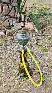 طه سنفور • فول • كركوك حزيران