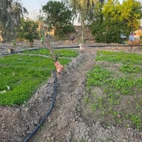 مزرعة ٤دوانم • واجهة تبليط • سند٢٥