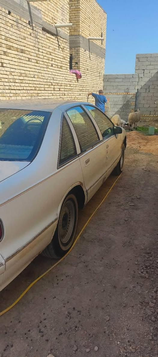 دولفين للبيع


**إذا كنت صاحب هذا الإعلان وتريد حذفه لأي سبب، رجاءا أرسل رسالة إلى الدعم الفني**