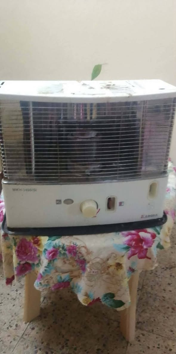 اغراض منزليه للبيع شراي تعال خاص


**إذا كنت صاحب هذا الإعلان وتريد حذفه لأي سبب، رجاءا أرسل رسالة إلى الدعم الفني**