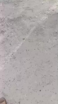 دورة هورجب • ١٠٠م • سند ٢٥