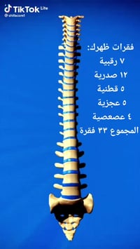 جراح أعصاب • بورد دكتوراه • كركوك الحويجة